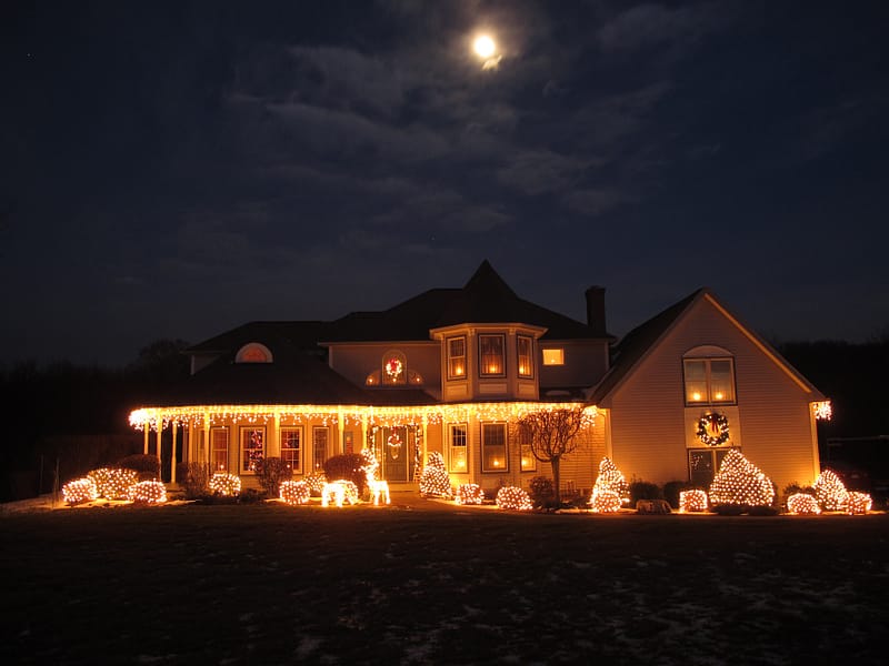 house with christmas lights and bushes with christmas lights